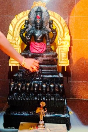 WhatsApp Image 2022-01-30 at 11.13.57 (1).jpeg