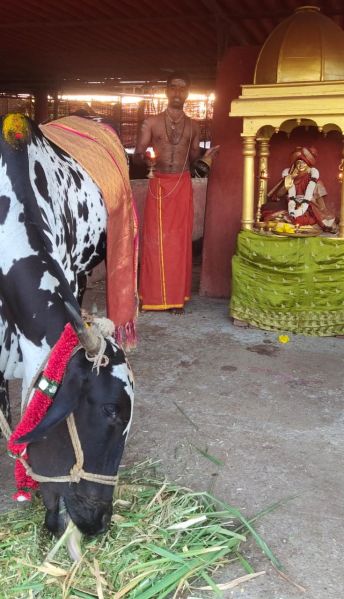 File:WhatsApp Image 2022-01-30 at 17.53.47 (2).jpeg