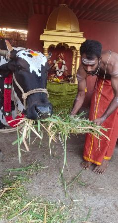 WhatsApp Image 2022-01-30 at 17.53.48.jpeg