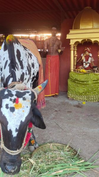 File:WhatsApp Image 2022-01-30 at 17.53.48 (1).jpeg