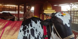 WhatsApp Image 2022-01-30 at 17.53.50.jpeg