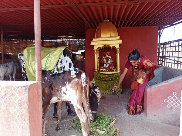 WhatsApp Image 2022-01-31 at 11.23.37.jpeg