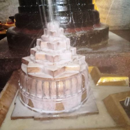 WhatsApp Image 2022-01-31 at 16.54.15.jpeg