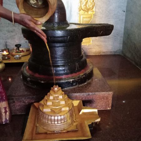 WhatsApp Image 2022-01-31 at 16.54.18 (1).jpeg