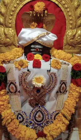 WhatsApp Image 2022-01-31 at 18.18.45.jpeg