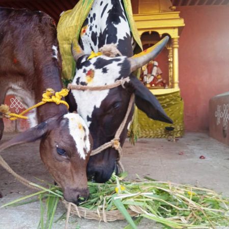 WhatsApp Image 2022-02-01 at 17.11.30 (1).jpeg