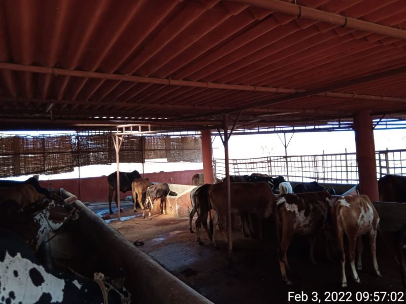 File:WhatsApp Image 2022-02-03 at 10.22.34.jpeg