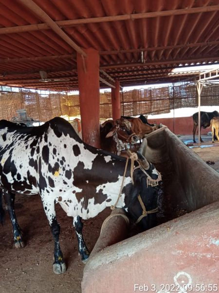 File:WhatsApp Image 2022-02-03 at 10.22.39.jpeg