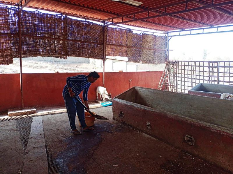 File:WhatsApp Image 2022-02-03 at 13.46.19.jpeg