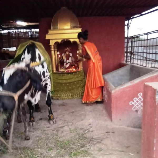 File:WhatsApp Image 2022-02-03 at 19.31.47.jpeg