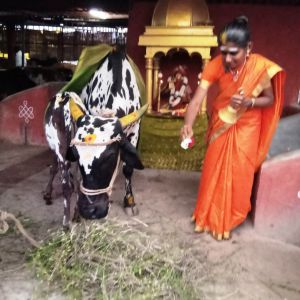 WhatsApp Image 2022-02-03 at 19.31.48 (1).jpeg