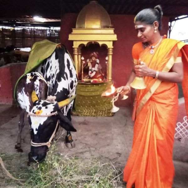 File:WhatsApp Image 2022-02-03 at 19.31.49 (1).jpeg