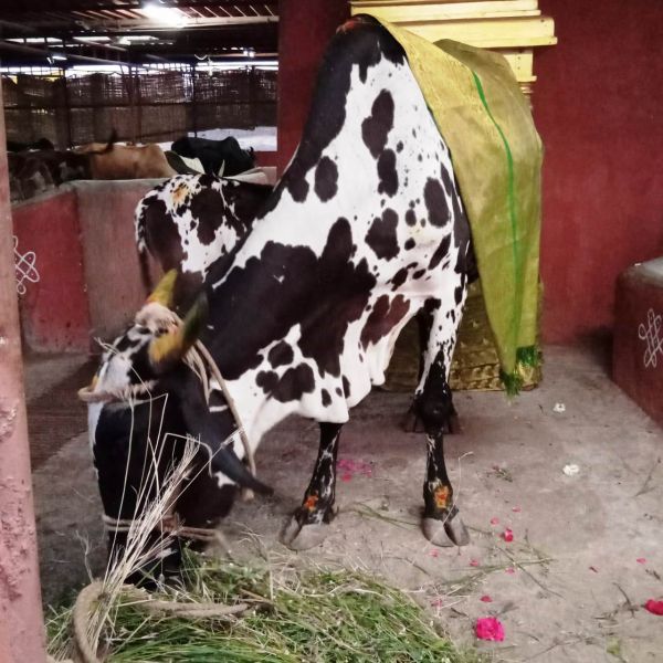 File:WhatsApp Image 2022-02-03 at 19.31.50 (1).jpeg