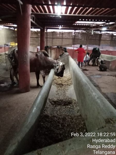 File:WhatsApp Image 2022-02-03 at 19.40.54.jpeg