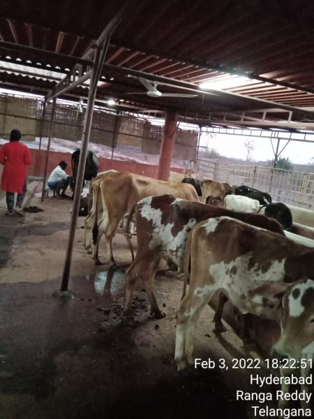 File:WhatsApp Image 2022-02-03 at 19.40.54 (1).jpeg