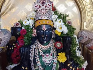 WhatsApp Image 2022-02-04 at 13.54.23.jpeg