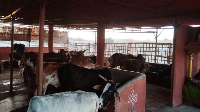 WhatsApp Image 2022-02-04 at 18.23.38.jpeg