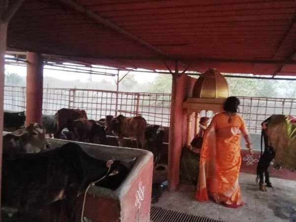 WhatsApp Image 2022-02-04 at 18.23.44.jpeg