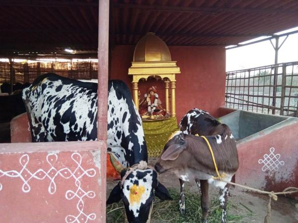 WhatsApp Image 2022-02-04 at 18.24.20.jpeg