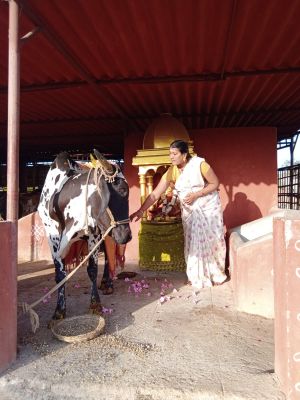 WhatsApp Image 2022-02-05 at 14.56.36.jpeg