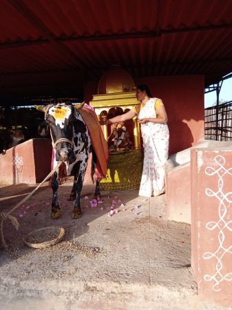 WhatsApp Image 2022-02-05 at 14.56.37.jpeg