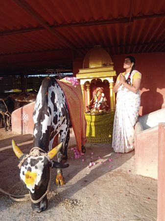 WhatsApp Image 2022-02-05 at 14.56.37 (1).jpeg