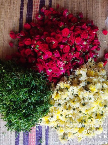 File:WhatsApp Image 2022-02-06 at 12.31.12.jpeg