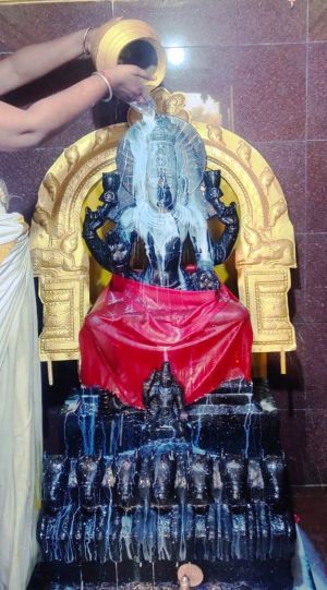 WhatsApp Image 2022-02-06 at 19.02.22 (1).jpeg