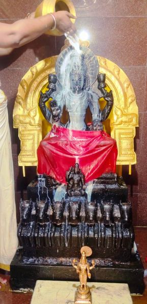 File:WhatsApp Image 2022-02-06 at 19.02.23 (1).jpeg