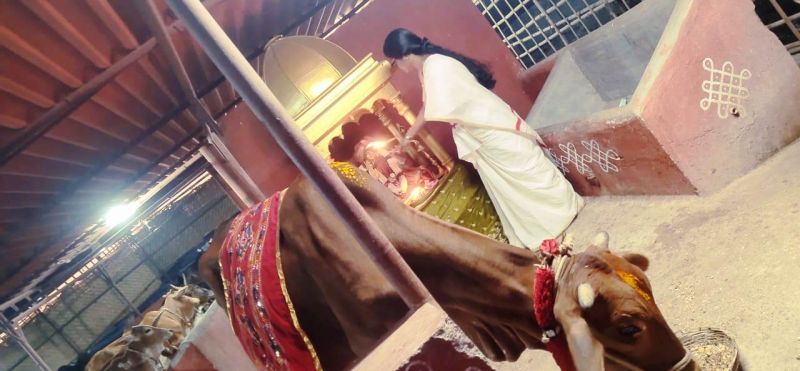 File:WhatsApp Image 2022-02-06 at 23.02.13 (1).jpeg