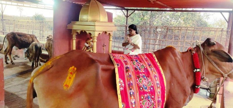 File:WhatsApp Image 2022-02-06 at 23.02.15 (1).jpeg