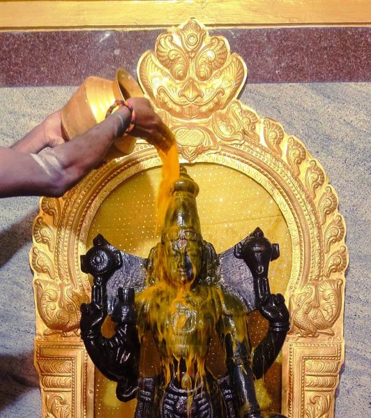 File:WhatsApp Image 2022-02-06 at 23.02.23 (1).jpeg