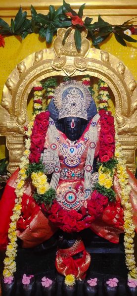 File:WhatsApp Image 2022-02-07 at 17.42.09.jpeg