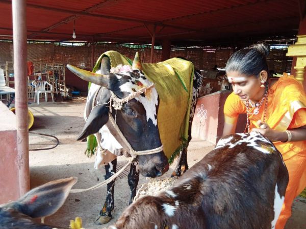 WhatsApp Image 2022-02-08 at 15.52.56 (1).jpeg