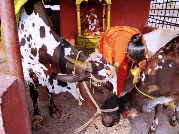 WhatsApp Image 2022-02-08 at 15.52.57 (1).jpeg