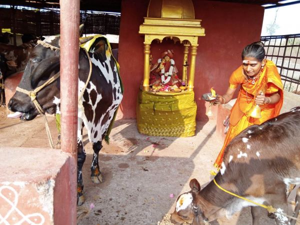 WhatsApp Image 2022-02-08 at 15.52.58 (1).jpeg