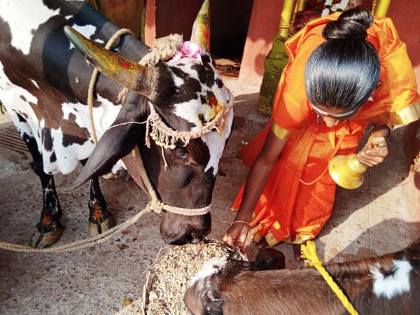 WhatsApp Image 2022-02-08 at 15.52.58 (2).jpeg