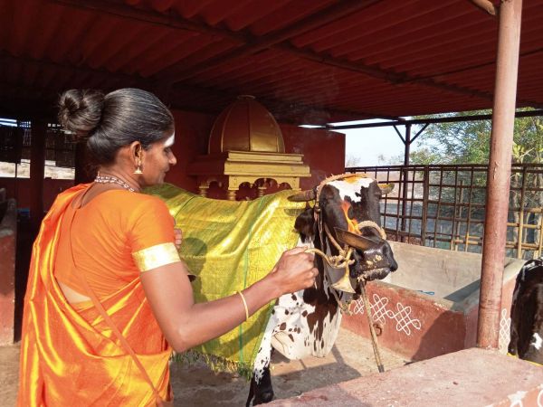 WhatsApp Image 2022-02-08 at 15.52.59 (1).jpeg