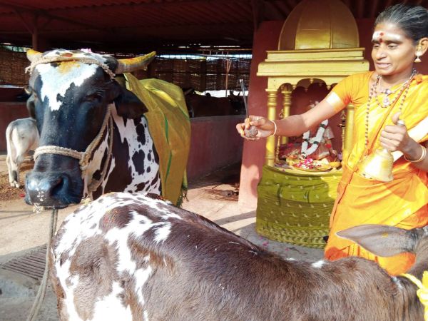 WhatsApp Image 2022-02-08 at 15.56.13.jpeg