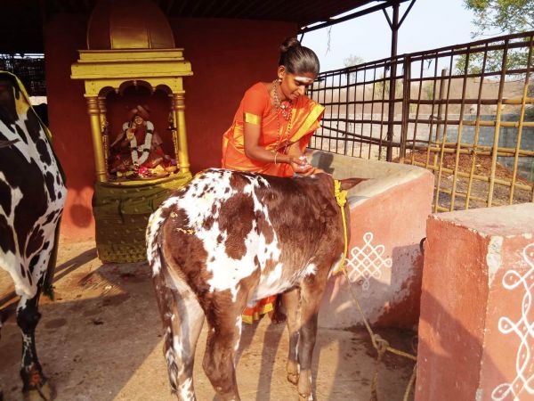 WhatsApp Image 2022-02-08 at 15.56.20.jpeg