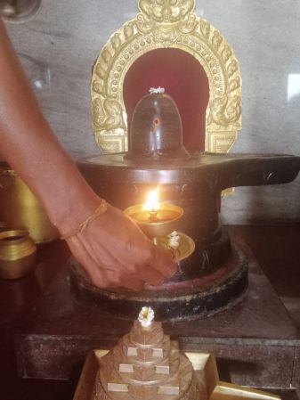 WhatsApp Image 2022-03-14 at 09.13.49.jpeg