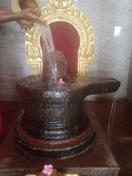 File:WhatsApp Image 2022-03-14 at 09.13.50 (2).jpeg