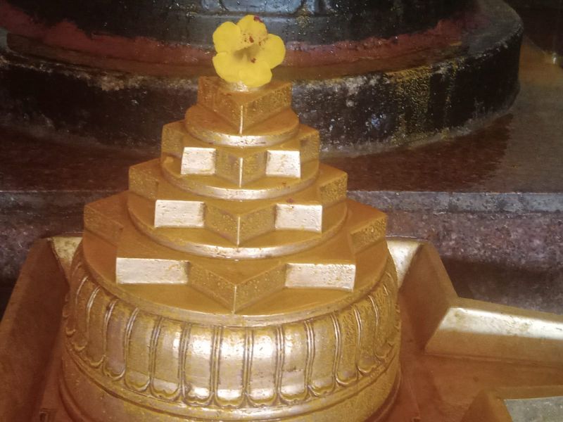 File:WhatsApp Image 2022-03-14 at 09.13.52 (1).jpeg