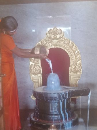 WhatsApp Image 2022-03-14 at 09.13.55 (1).jpeg