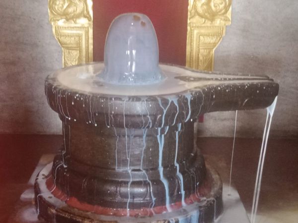 WhatsApp Image 2022-03-14 at 09.13.55 (2).jpeg