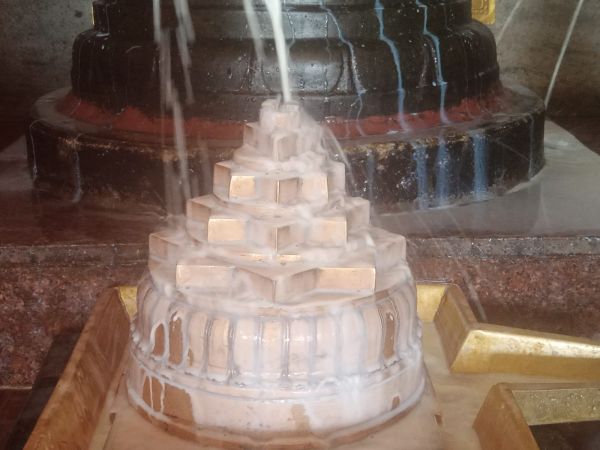 WhatsApp Image 2022-03-14 at 09.13.56.jpeg