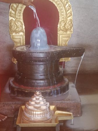 WhatsApp Image 2022-03-14 at 09.13.57.jpeg