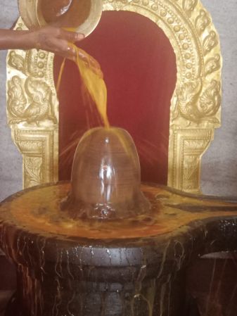 WhatsApp Image 2022-03-14 at 09.13.58.jpeg