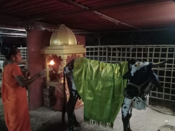 WhatsApp Image 2022-03-14 at 21.44.42 - Copy.jpeg