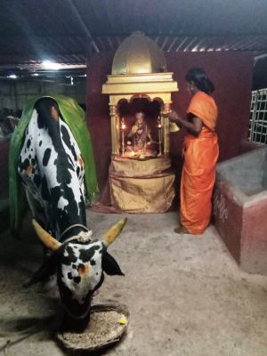 WhatsApp Image 2022-03-15 at 19.29.43 (2).jpeg